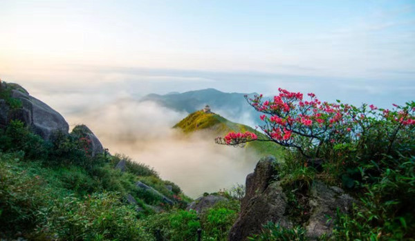 广西两旅游联盟组团来蓉 北部湾,桂东南冬季旅游产品吸人眼球